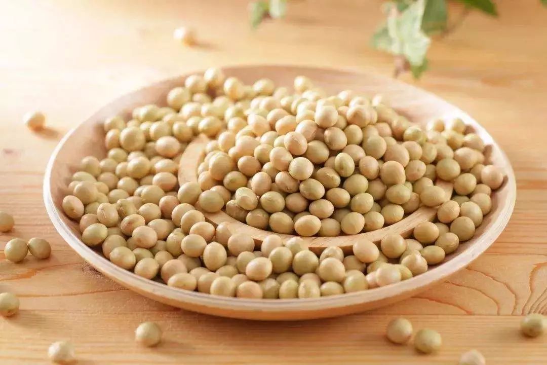 补骨髓的食物 1f653f984c564322ac7488227d74cd8e.jpeg
