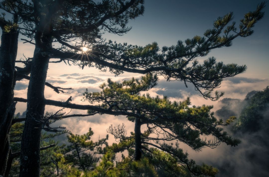 【热点景区】空山新雨后,山岚初升腾,烟雾更飘