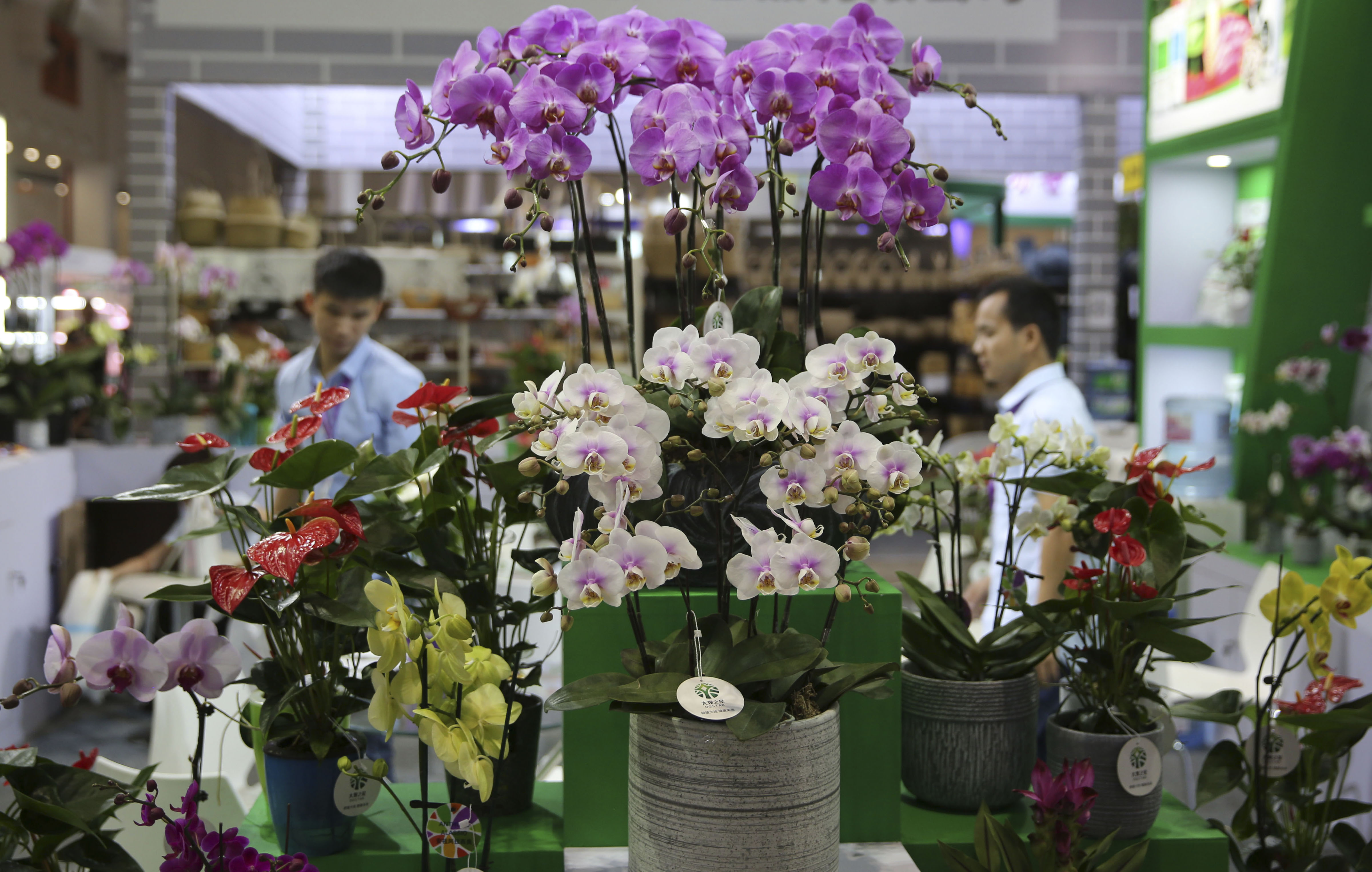 第20届中国昆明国际花卉展开幕