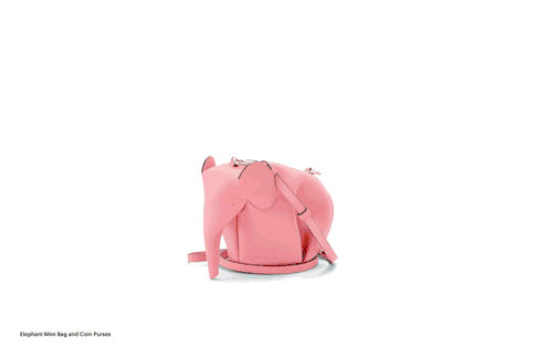 ����������:�㵽����ʶ�ж���ֻ?