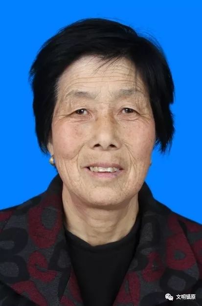 镇原县有多少人口