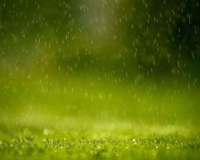 倾盆大雨像美丽珠帘我们一起欣赏绚丽多彩夏天雨飘的迷人味道