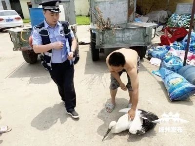 【魅力家乡】好样的!宝应村民半年捡到六只“国宝”,全部交了! 银河娱乐app