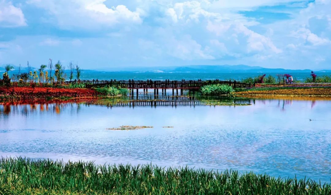 想带你去看晴空万里,想大声告诉你我为你着迷