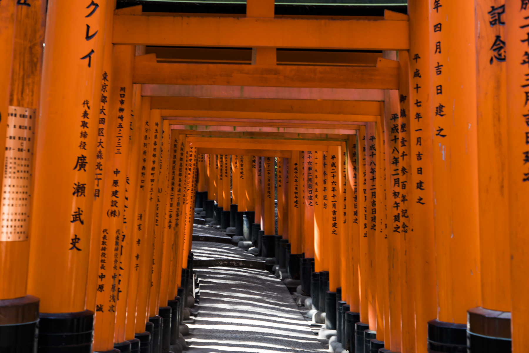 日本伏见稻荷千本鸟居,京都最漂亮的古老神社,网友说一定要去!