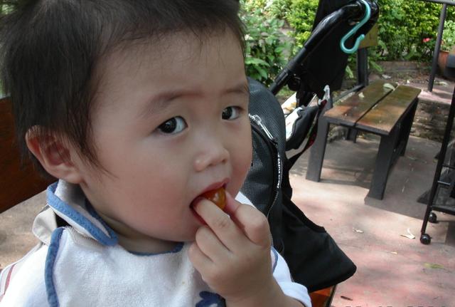                     提醒家长：孩子不满3岁，这3种东西不要喂，对身体发育有害
