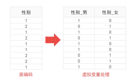 什么是虚拟变量？其在数据分析中的作用是什么？  第1张