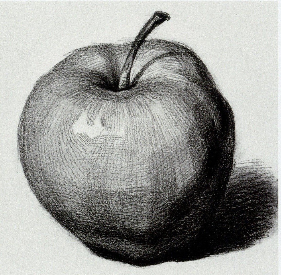 超强干货丨素描水果之苹果和梨