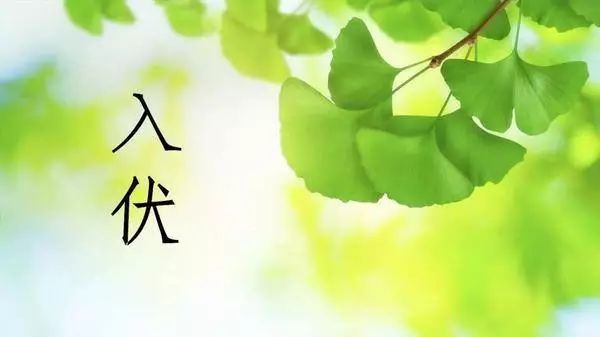 今日入伏啦,三伏天喝什么都不如喝它 明升m88备用网址、
