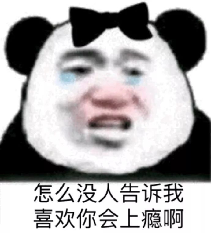 熊猫头表情包好想骚扰帅哥