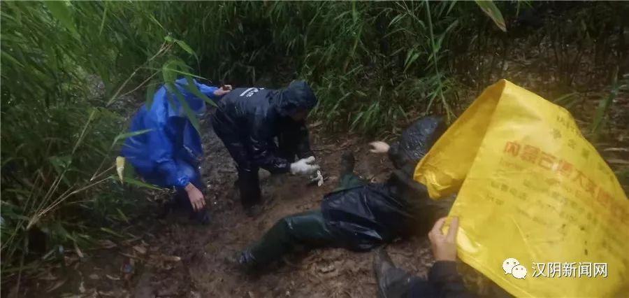 [摘要]河北籍女子牛某和其朋友从汉阴凤凰山铁瓦殿返程时,被困山中