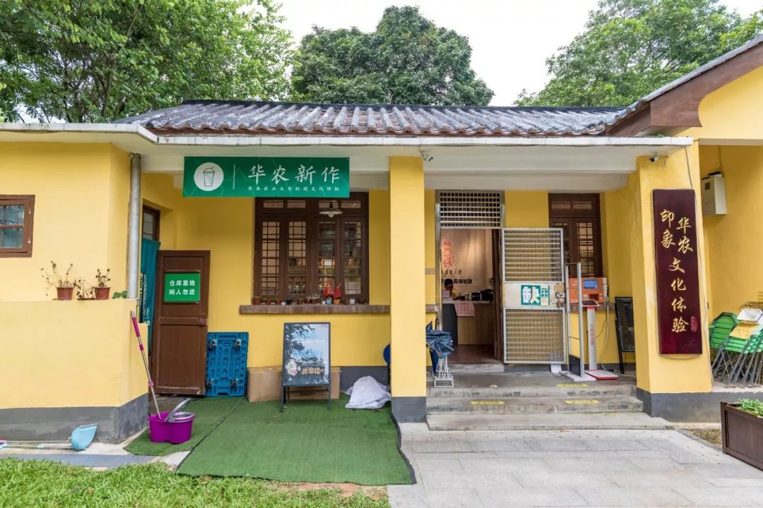 黄色建筑上的绿色招牌很是醒目