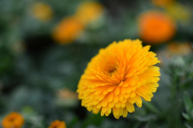 7月下旬霉运消散,福气盈门,生活没压力,注定有