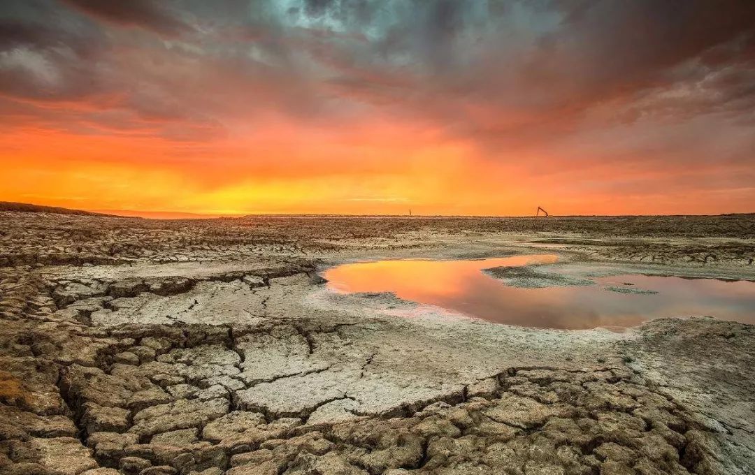 全球多地惊现异常高温!老外:中国华北地区以后