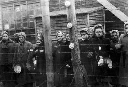 二战集中营：只为推掉自己责任，72名少女成为人体实验品