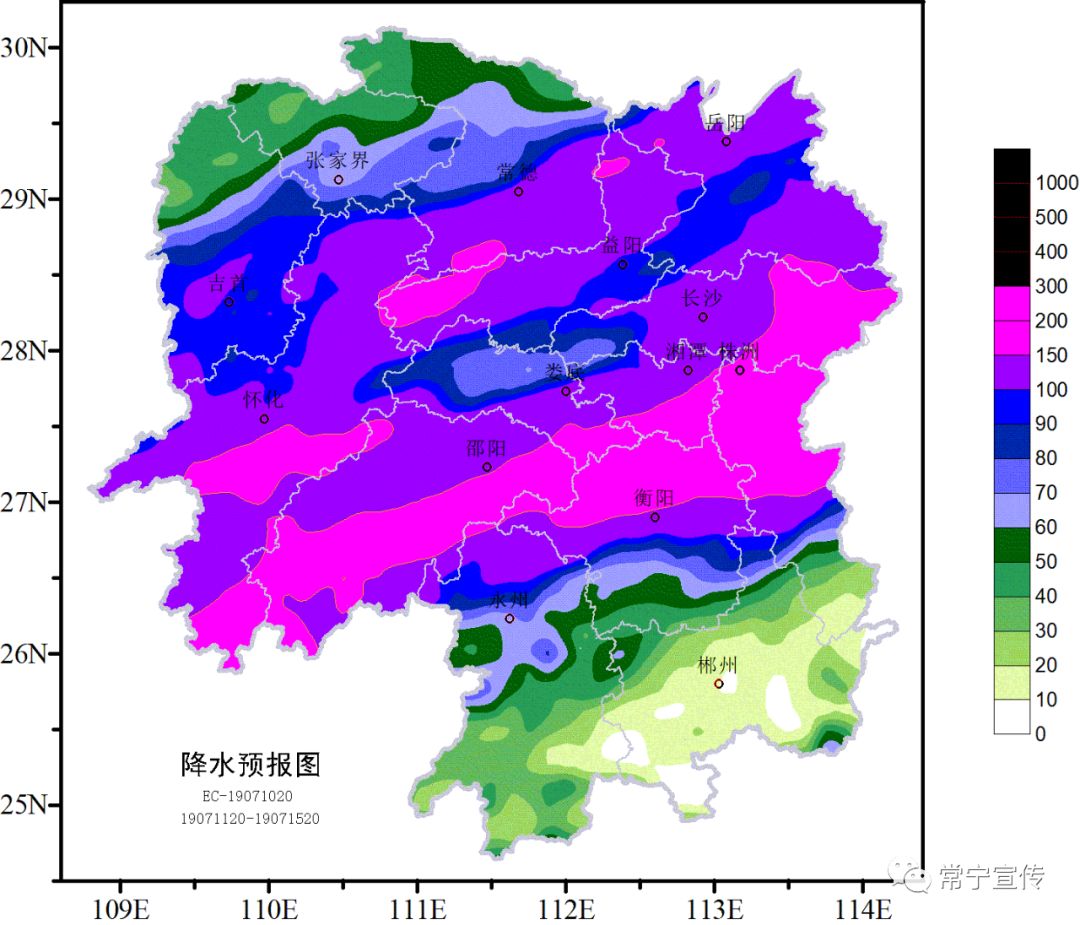 常宁2020人口普查_常宁二中校花吴倩照片(3)