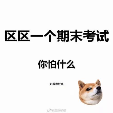 当代沙雕青年是如何期末考的?哈哈哈哈哈可怕