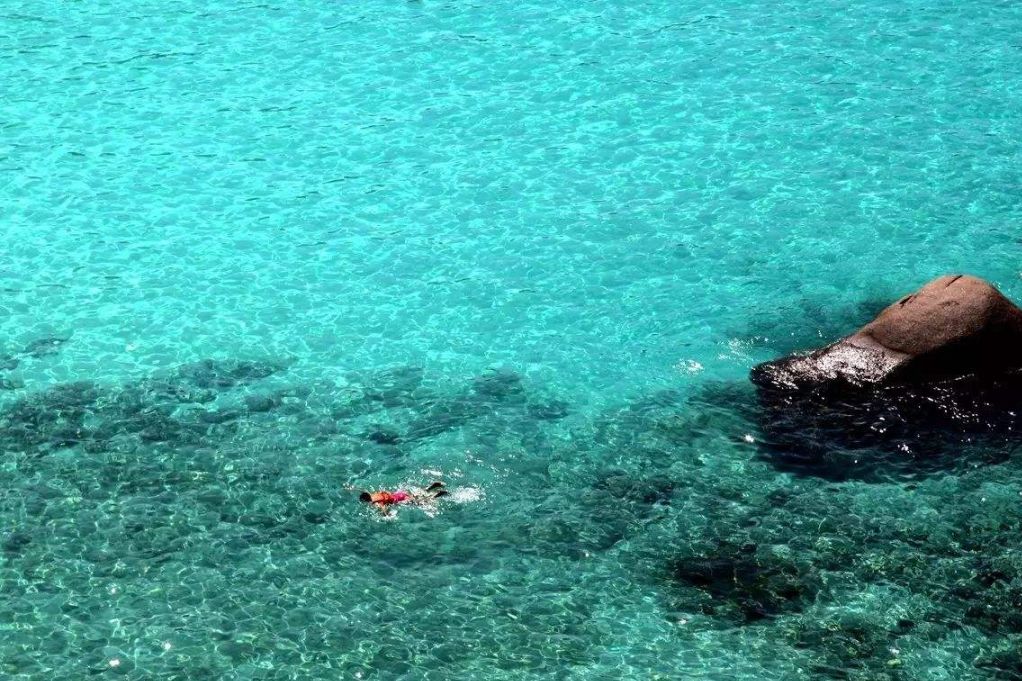 素罗门群岛人口经济总量_经济