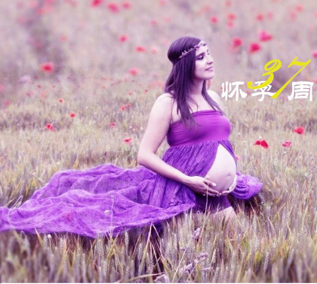 怀孕第37周的建议和事实:宝宝足月了!网友:终于快熬到头了 盈丰平台棋牌游戏官网