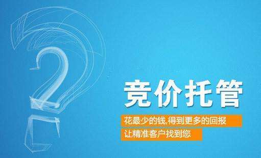 2,专人保障百度竞价账户以及网站的正常运行,一旦出现问题,第一时间