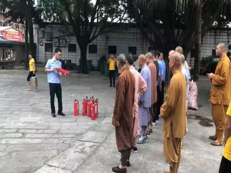 澄海蔡厝人口_澄海狮头鹅图片(2)