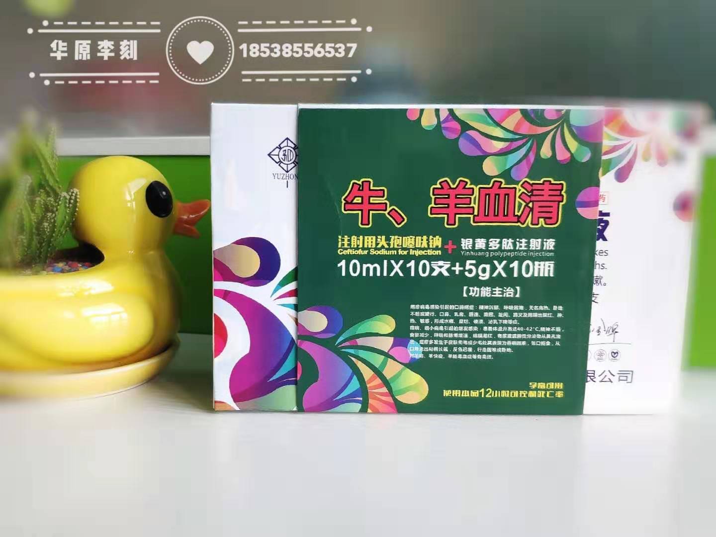 羊得了羊痘怎么办