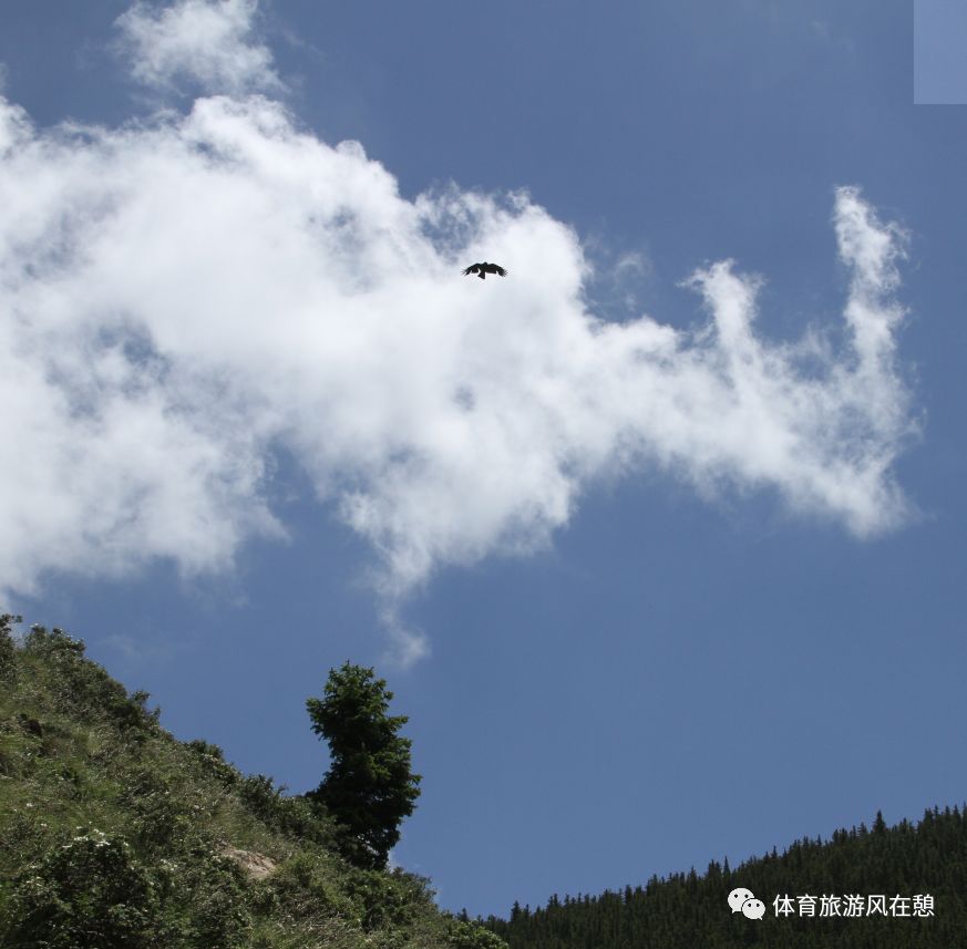 来来来做个实验看看抽烟者的肺啥样