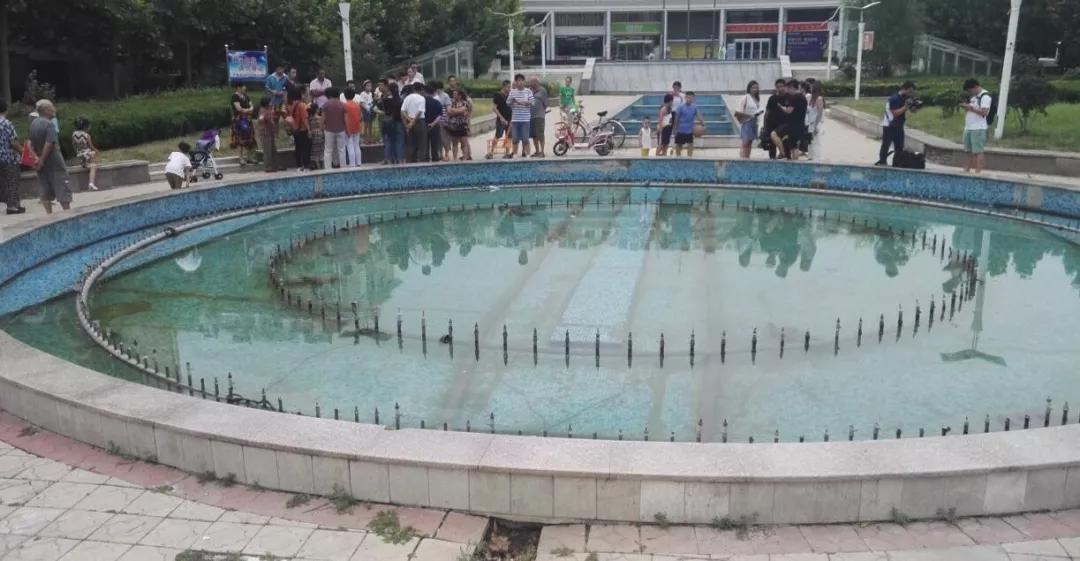                     小区里的这些地方夏天会“吃人”，千万别去！