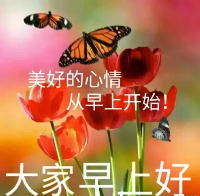 早上好问候大家及关心的话 早上好祝福动态表情图片送给好朋友