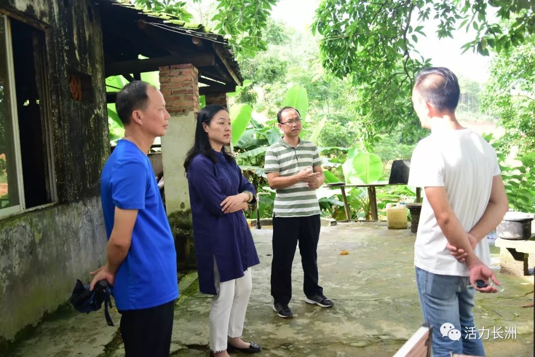 吴舒沁到长洲区摩天岭六堡茶海项目实地调研