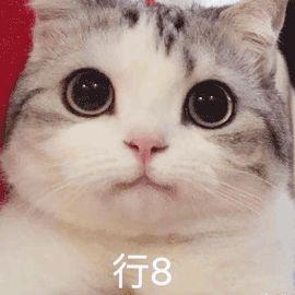 我给人口交_zf终于干了件人事儿 在加拿大,兽交不再合法了