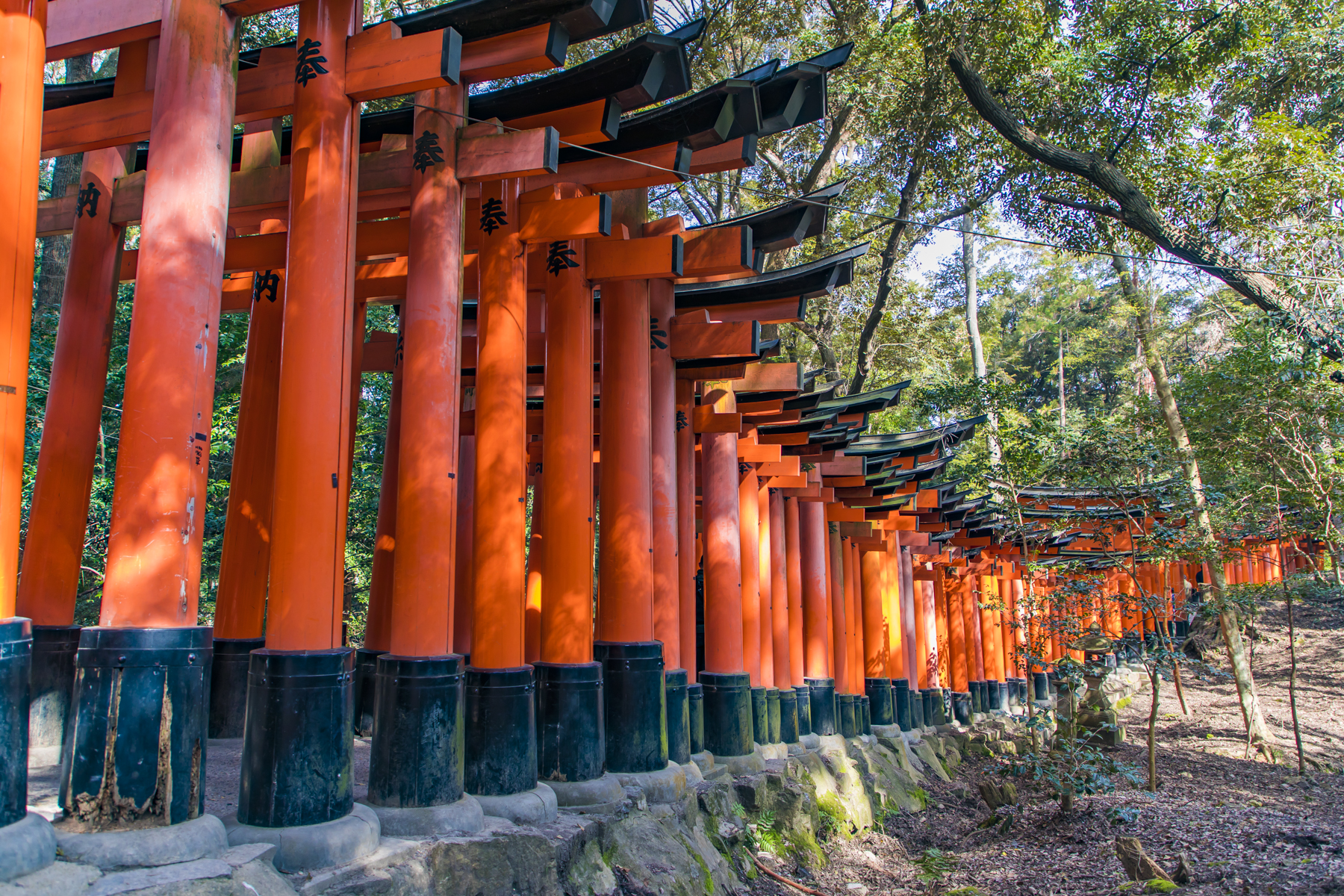 日本伏见稻荷千本鸟居,京都最漂亮的古老神社,网友说一定要去!