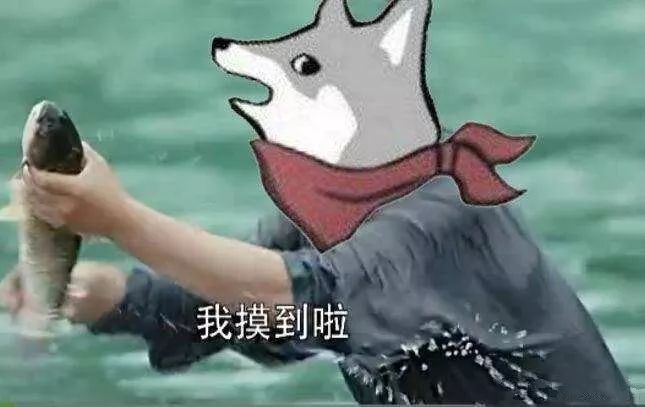 9522972cc1a64c979550948c2f19d055.jpeg
