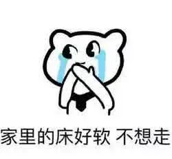 怎么让自己看起来不那么傻 a33cca4e14c4405b9bae925ab7af726e.jpeg