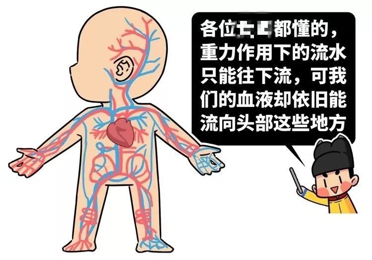 健康人体这个脆弱敏感部位碰破皮竟会致命你想象不到