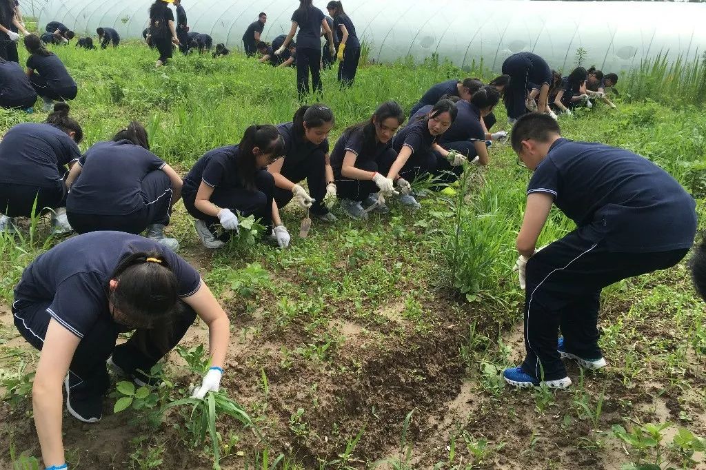 体验中感悟实践中成长高二年级学农社会实践活动