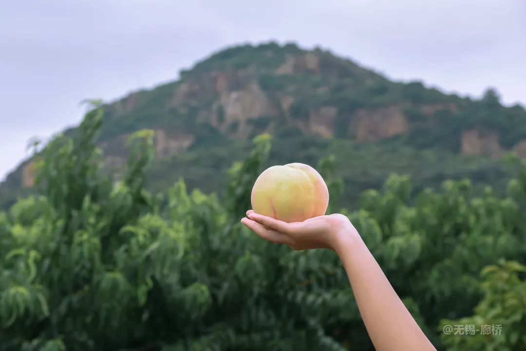 湖桃短剧，一湖一桃间的故事