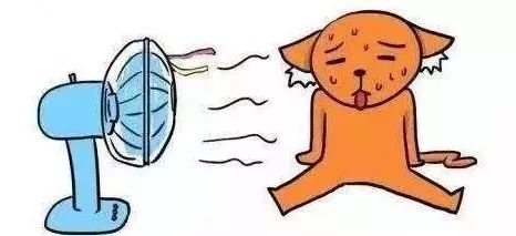 【青年热点】淮南“入伏”!“桑拿天”上线! bbin线上游戏