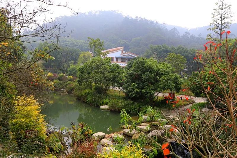 龙山 雅居 在山间的海"氧"里安静入睡