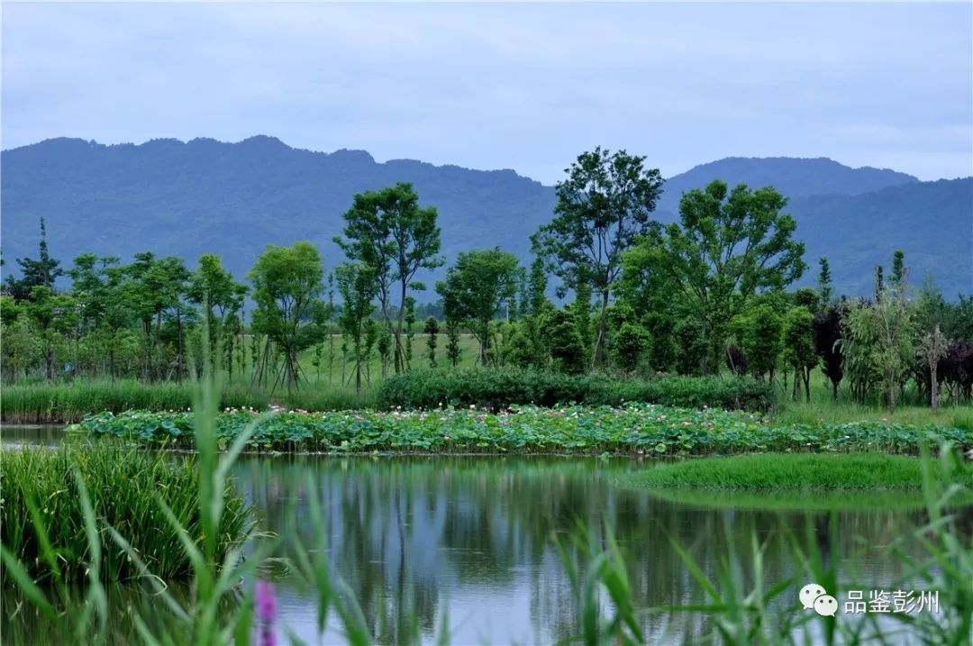 彭州又增一处免费湿地公园,景色宜人美如画!