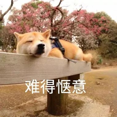 不热、有雨!烟台经历最爽入伏,但这些事仍要