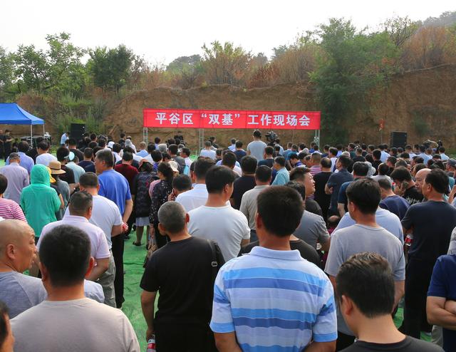 (来源:平谷) 7月11日,平谷区在金海湖镇洙水村南的一片山地,