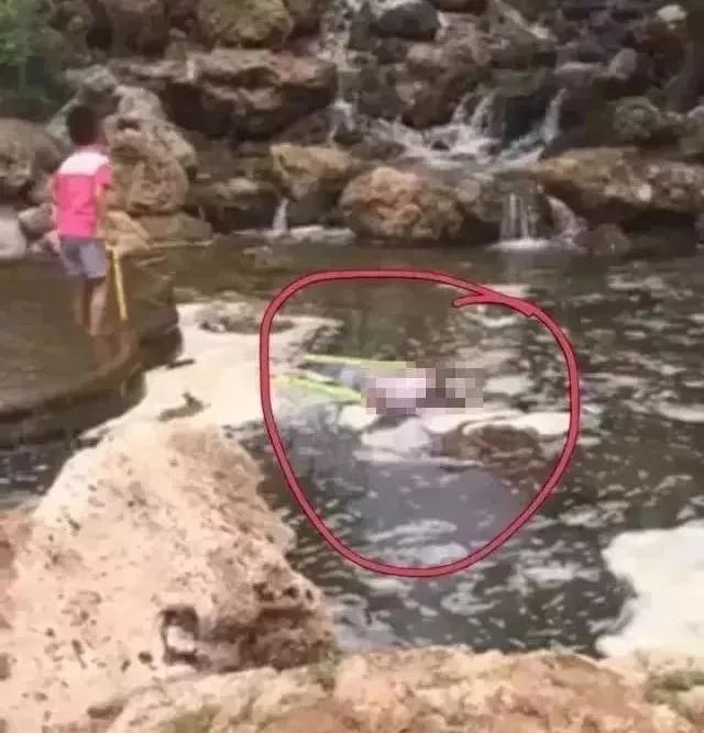                     小区里的这些地方夏天会“吃人”，千万别去！