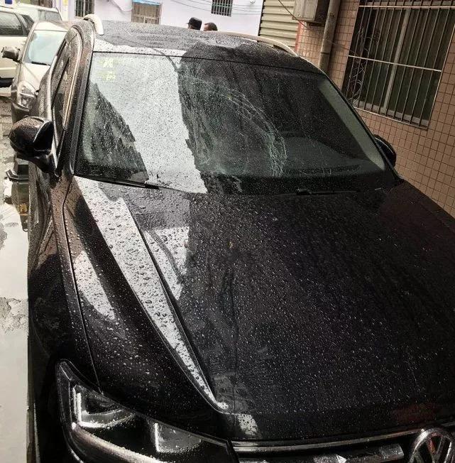 又一起!深圳一小区现高空坠狗砸烂车窗,主人