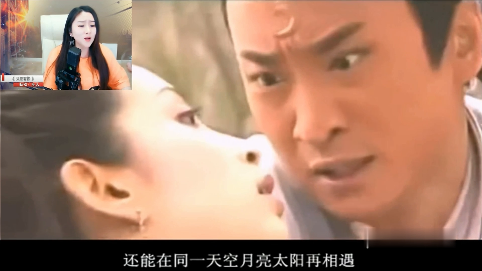 也是电视剧《少年包青天》系列片尾曲和2002年电视剧《终极悬案》片头