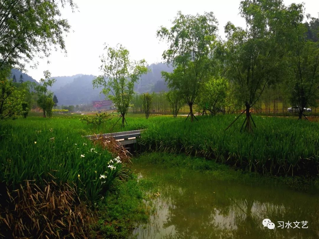 习水东风湖国家湿地公园赋