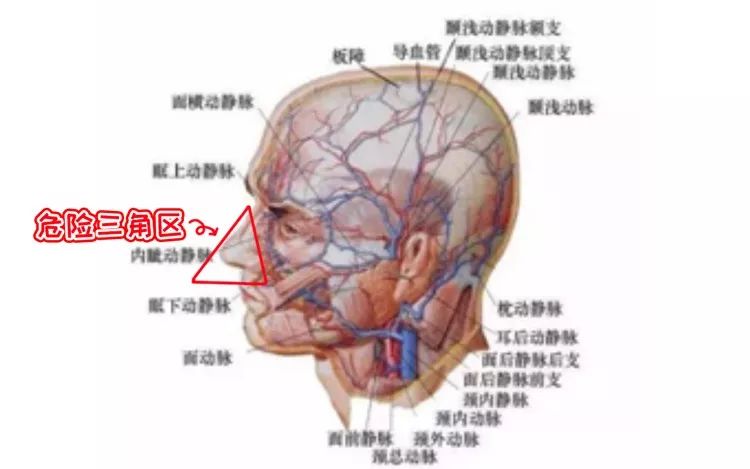 健康人体这个脆弱敏感部位碰破皮竟会致命你想象不到