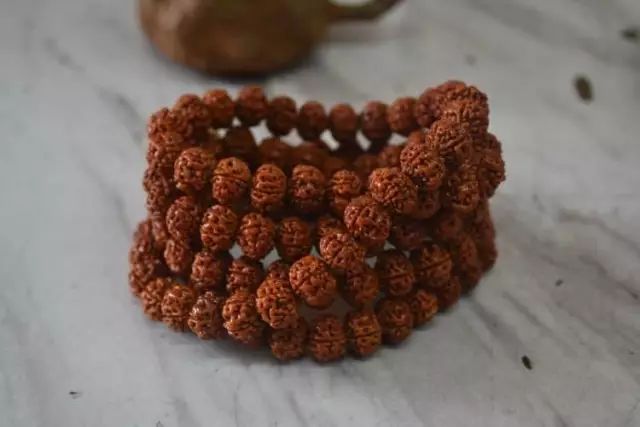 新手想了解的金刚菩提,尽在此文章!