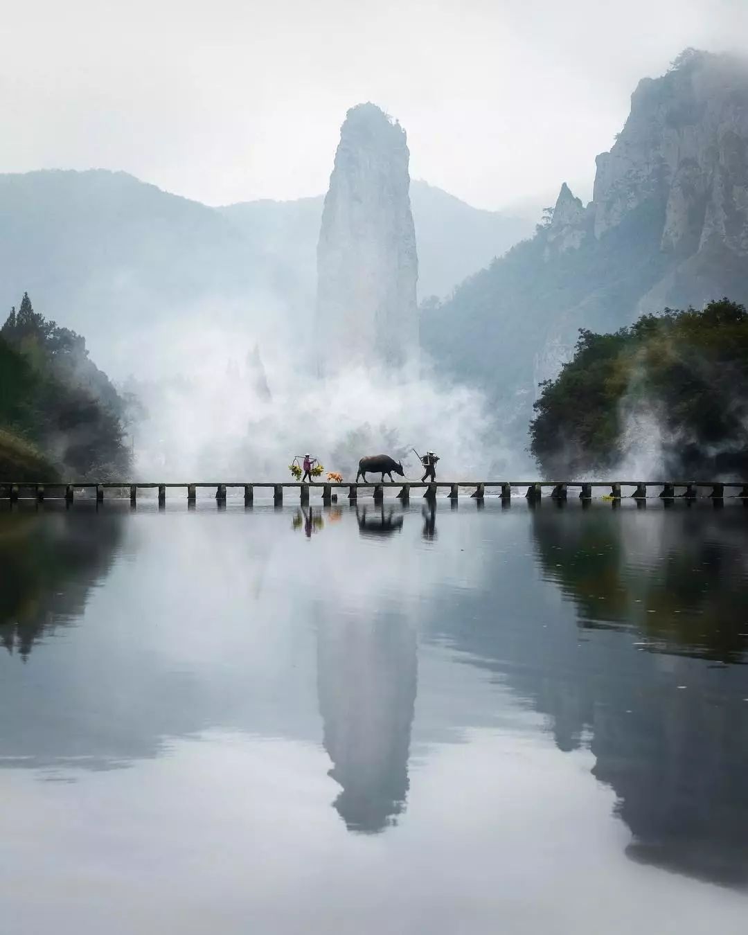 文章配图
