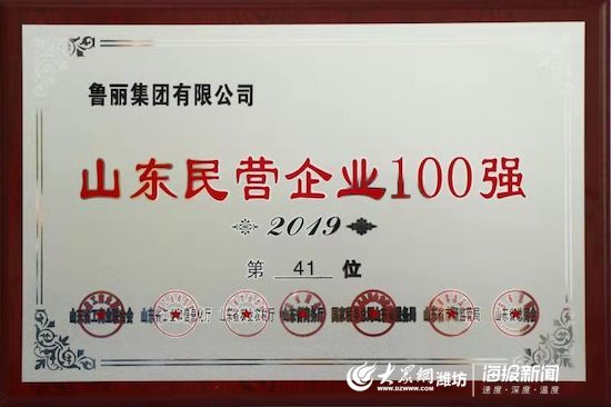 鲁丽集团上榜2019年山东民营企业百强